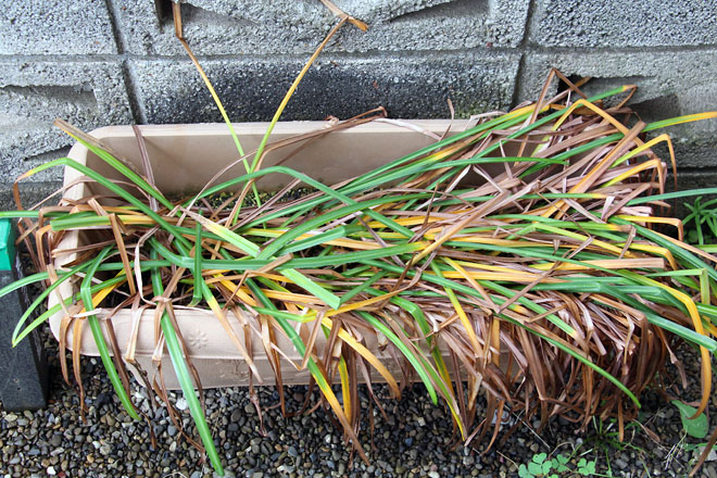 f:id:takahikonojima:20210520065714j:plain