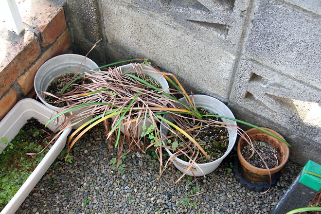 f:id:takahikonojima:20210530073256j:plain