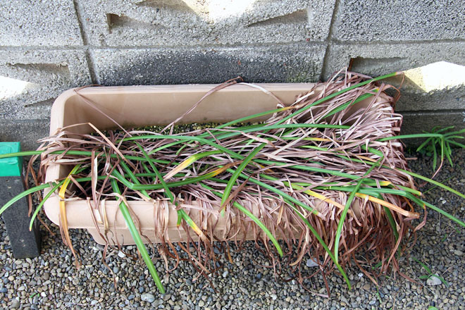 f:id:takahikonojima:20210530073259j:plain