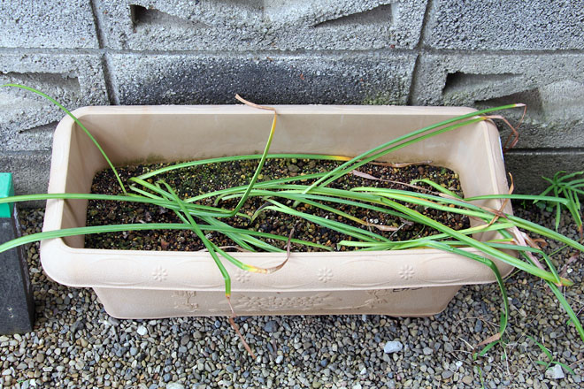 f:id:takahikonojima:20210531073619j:plain