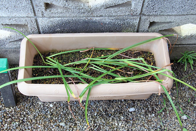 f:id:takahikonojima:20210601072912j:plain