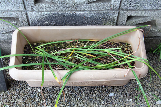 f:id:takahikonojima:20210602054231j:plain