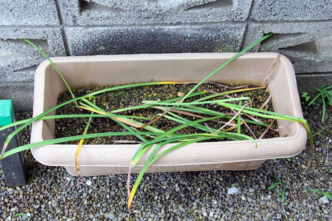 f:id:takahikonojima:20210605065458j:plain