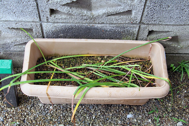 f:id:takahikonojima:20210606085807j:plain