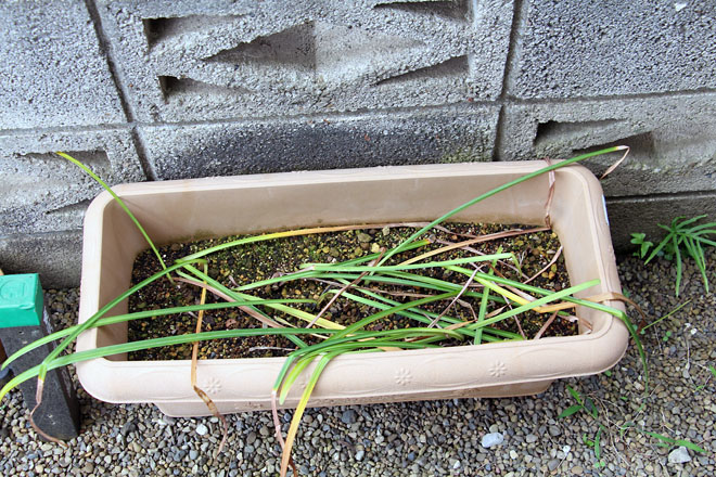 f:id:takahikonojima:20210607074735j:plain