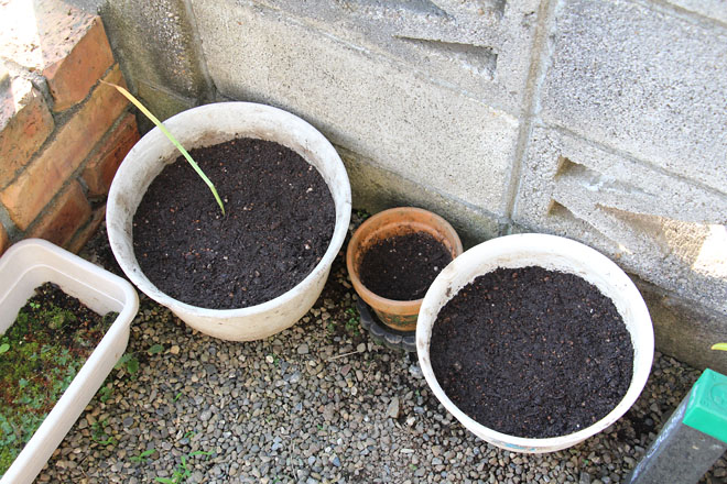 f:id:takahikonojima:20210608062440j:plain