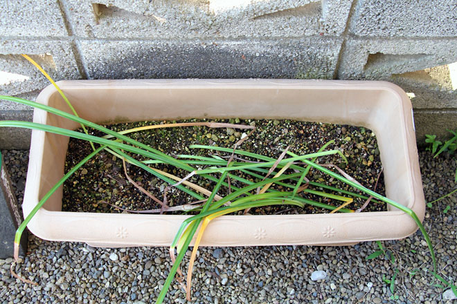 f:id:takahikonojima:20210608062444j:plain