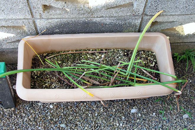 f:id:takahikonojima:20210609063051j:plain