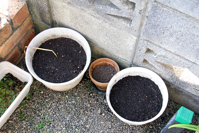 f:id:takahikonojima:20210610065034j:plain