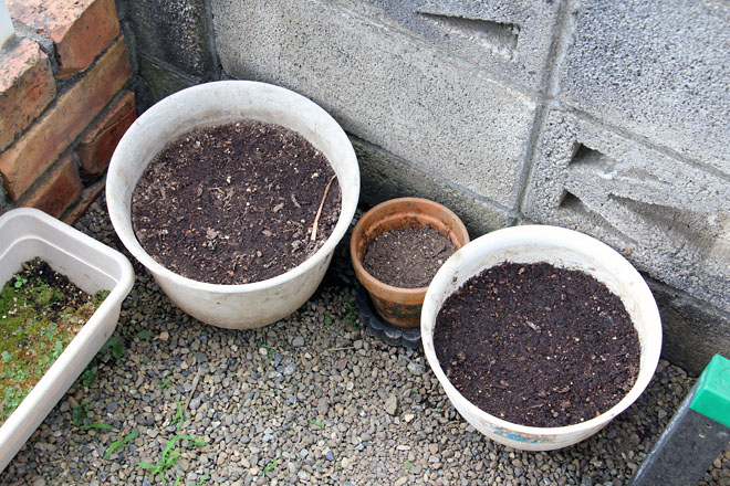 f:id:takahikonojima:20210612093636j:plain