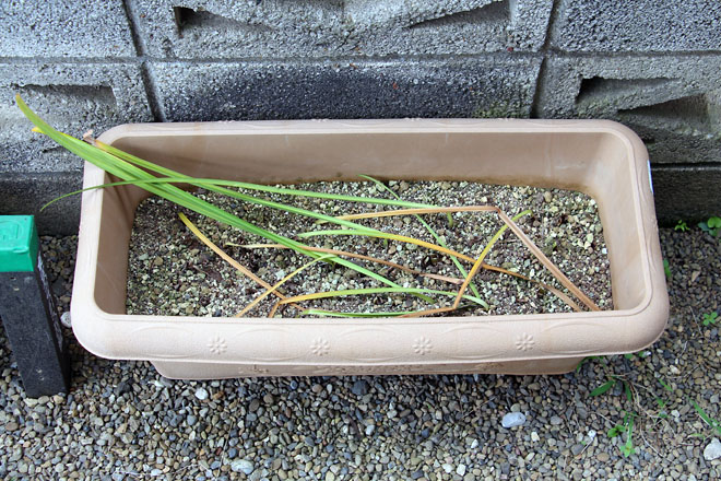 f:id:takahikonojima:20210612093640j:plain