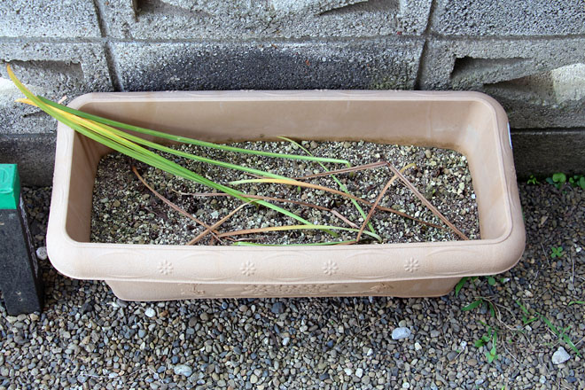 f:id:takahikonojima:20210613085729j:plain