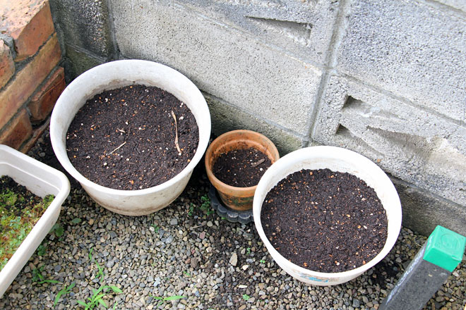 f:id:takahikonojima:20210615070537j:plain