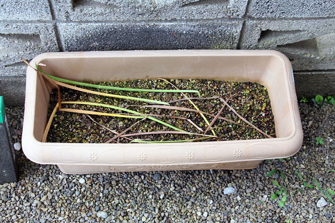 f:id:takahikonojima:20210615070540j:plain