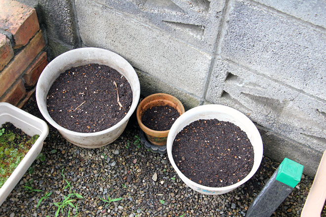 f:id:takahikonojima:20210616062702j:plain