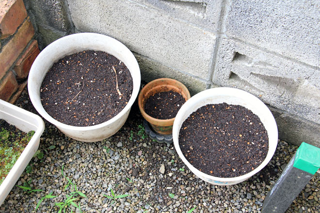 f:id:takahikonojima:20210617074117j:plain