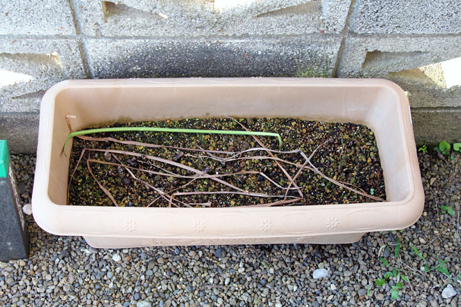 f:id:takahikonojima:20210618063225j:plain