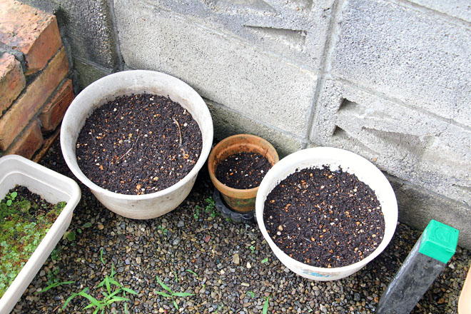 f:id:takahikonojima:20210619074840j:plain