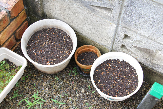 f:id:takahikonojima:20210620073804j:plain