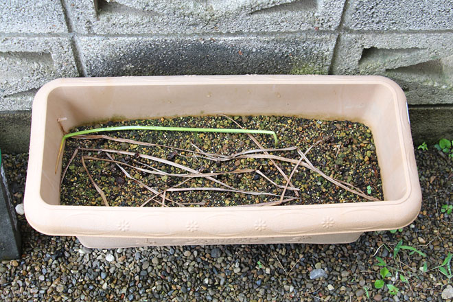 f:id:takahikonojima:20210620073807j:plain