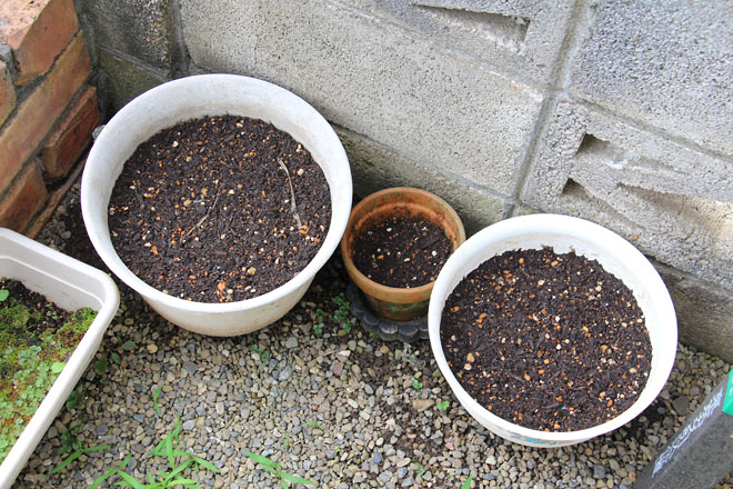 f:id:takahikonojima:20210621081344j:plain