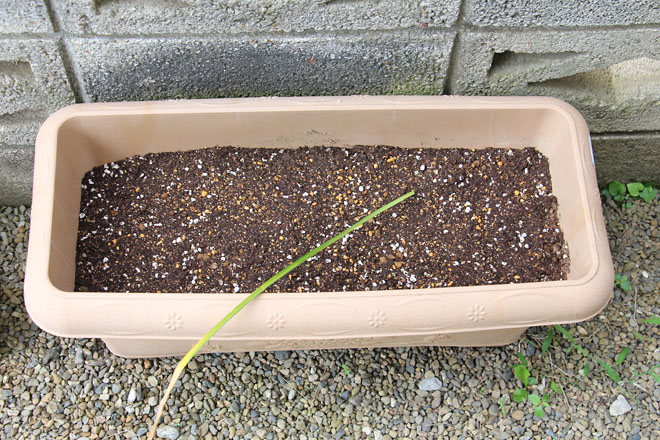 f:id:takahikonojima:20210621081346j:plain