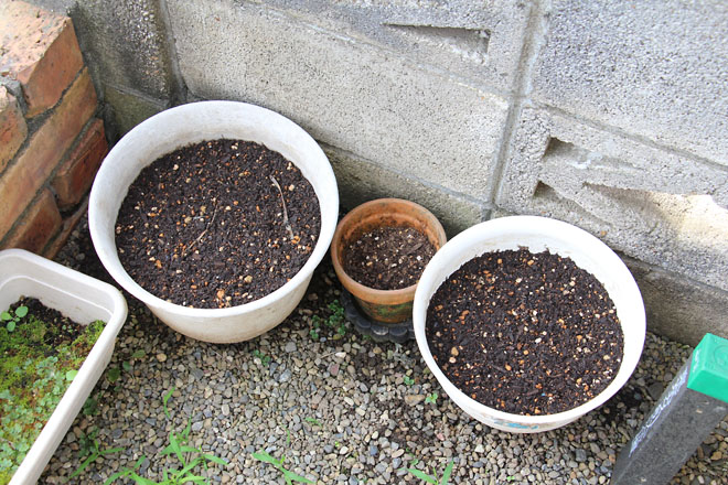 f:id:takahikonojima:20210622075255j:plain