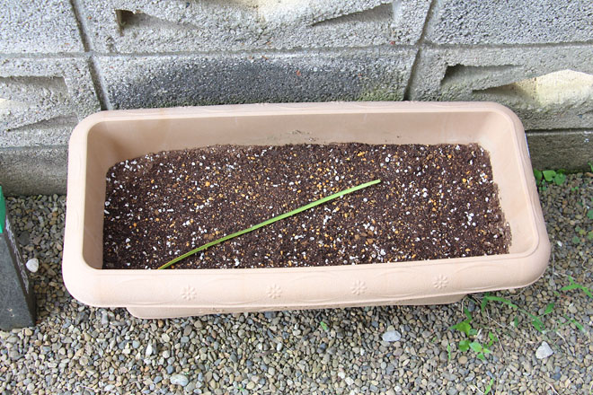 f:id:takahikonojima:20210622075258j:plain