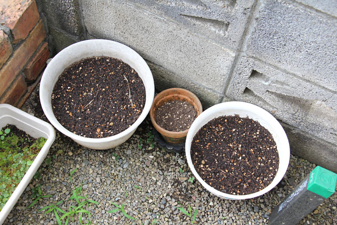 f:id:takahikonojima:20210623063556j:plain