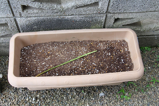 f:id:takahikonojima:20210623063559j:plain