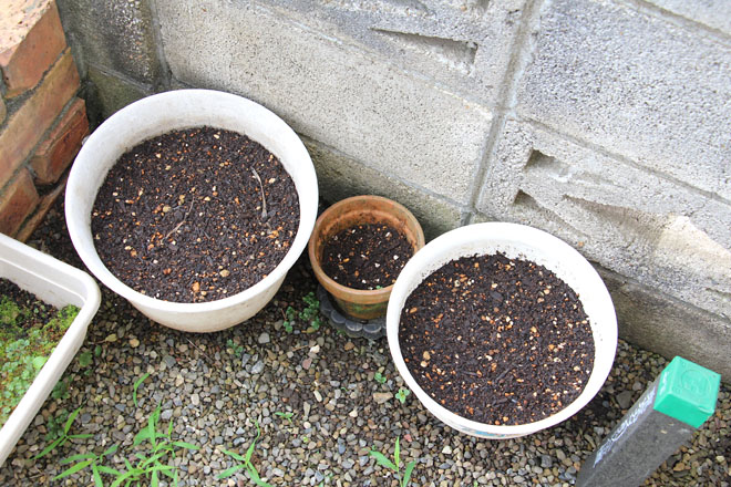 f:id:takahikonojima:20210624064527j:plain