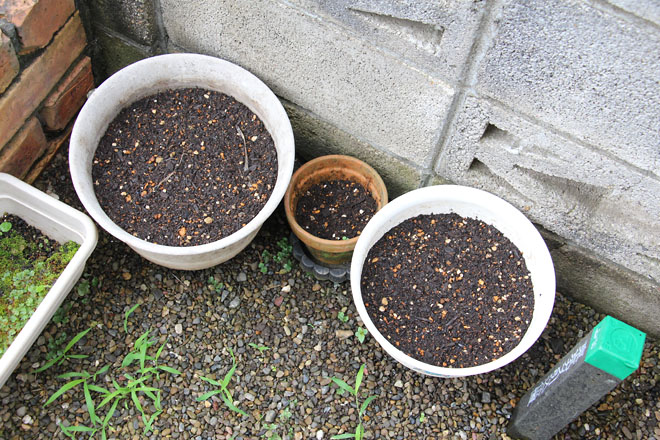 f:id:takahikonojima:20210625063557j:plain