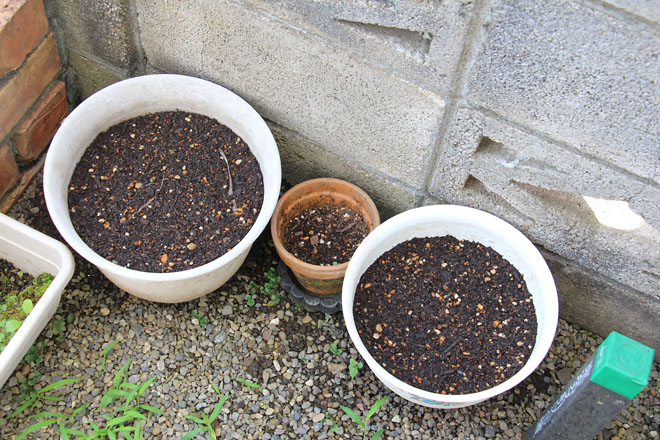 f:id:takahikonojima:20210626090224j:plain