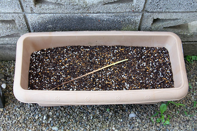 f:id:takahikonojima:20210626090227j:plain