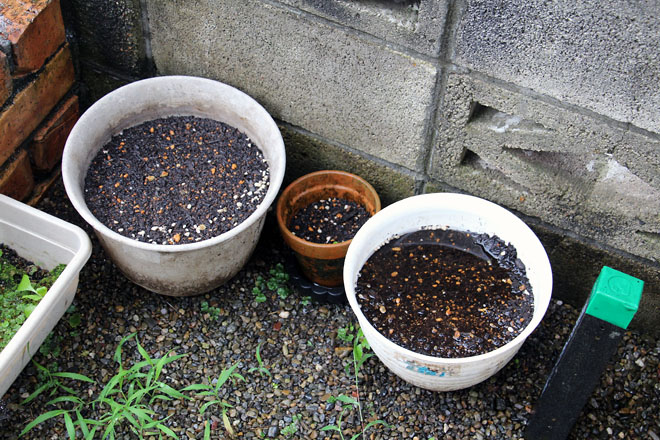 f:id:takahikonojima:20210704074843j:plain