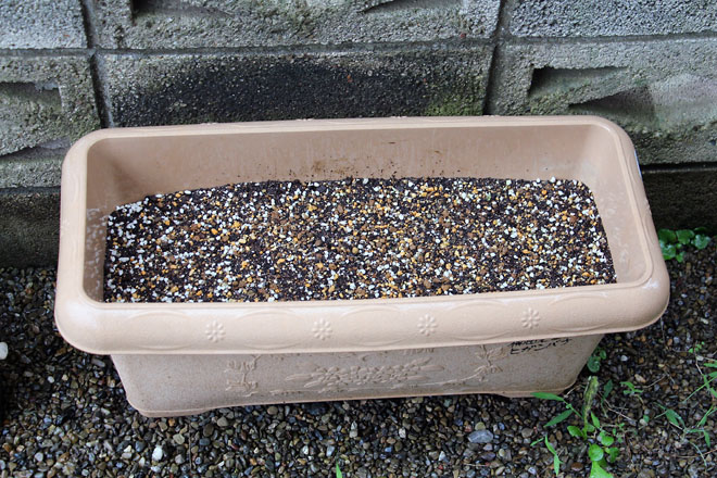 f:id:takahikonojima:20210704074846j:plain