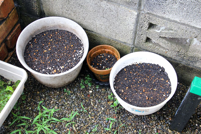 f:id:takahikonojima:20210705073733j:plain