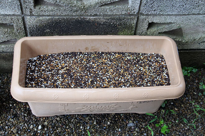 f:id:takahikonojima:20210705073736j:plain