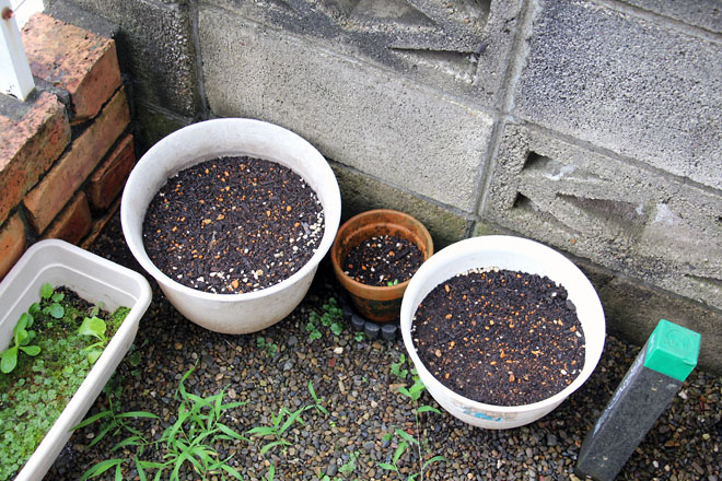 f:id:takahikonojima:20210706073915j:plain