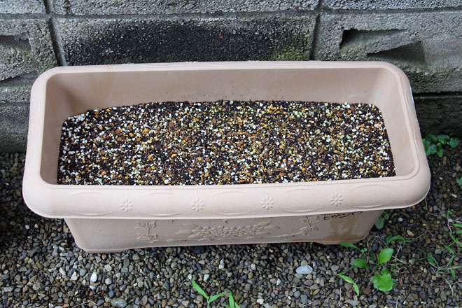 f:id:takahikonojima:20210707062046j:plain