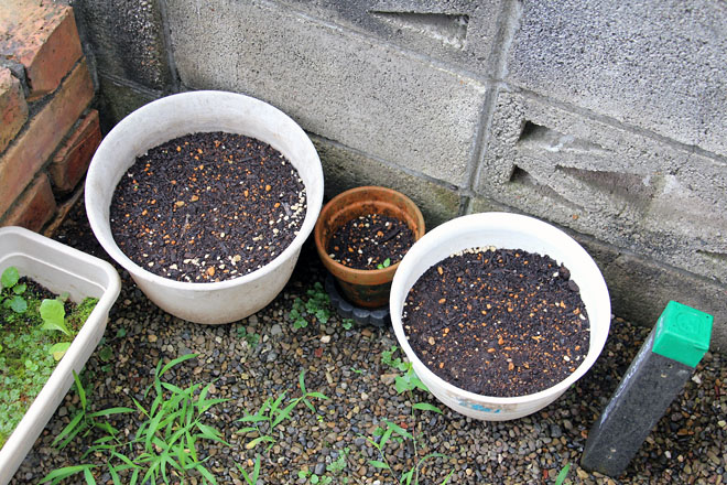 f:id:takahikonojima:20210708072915j:plain