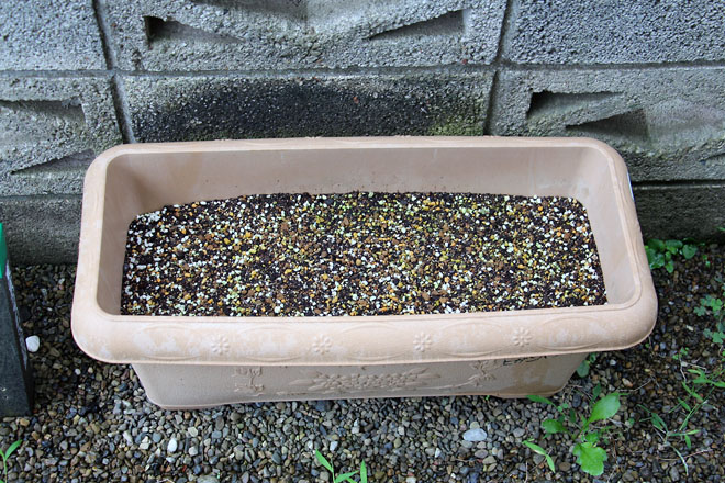 f:id:takahikonojima:20210708072919j:plain