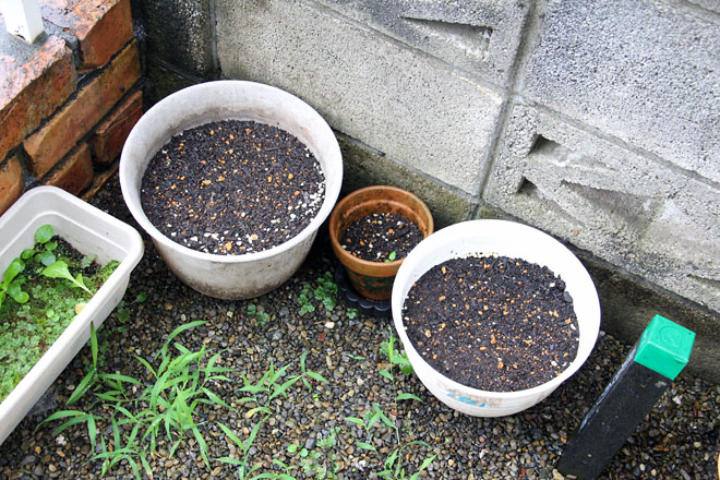 f:id:takahikonojima:20210709075704j:plain