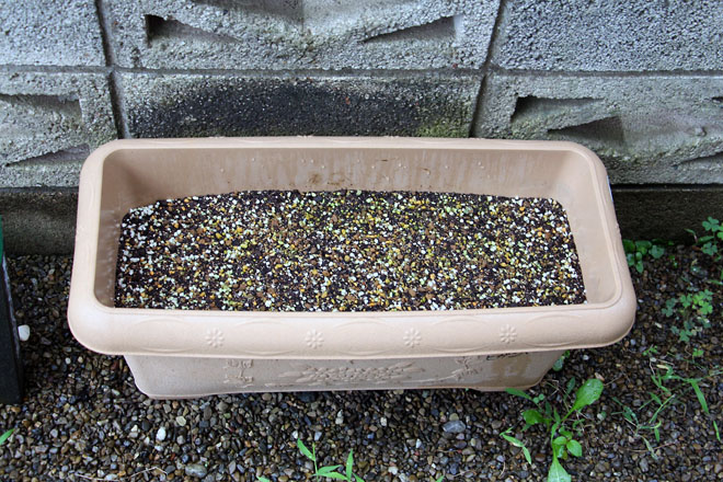 f:id:takahikonojima:20210709075707j:plain