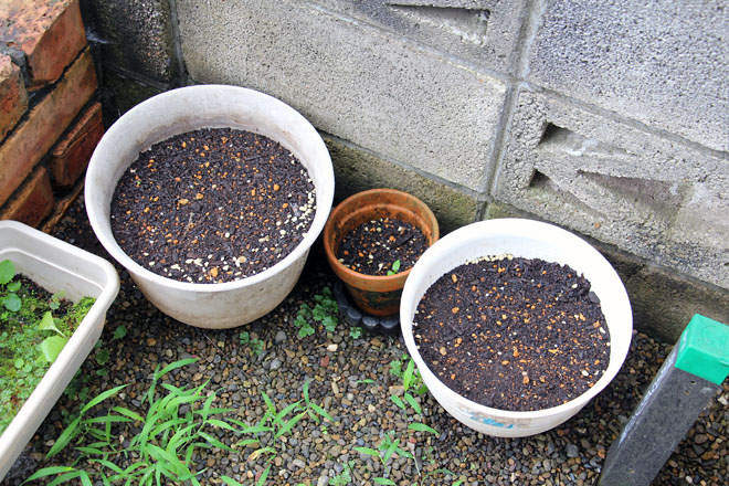 f:id:takahikonojima:20210710071126j:plain