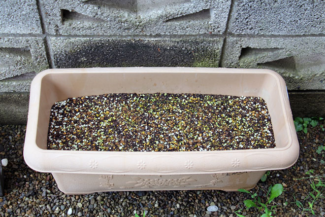 f:id:takahikonojima:20210710071131j:plain