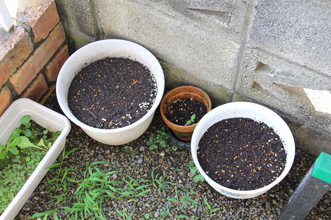 f:id:takahikonojima:20210712080334j:plain