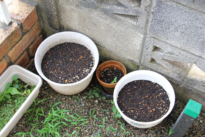 f:id:takahikonojima:20210713062455j:plain