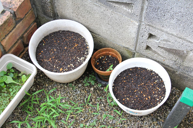 f:id:takahikonojima:20210714062433j:plain