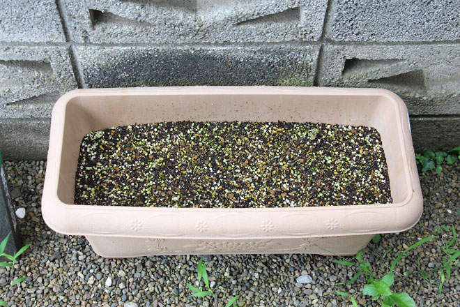 f:id:takahikonojima:20210714062438j:plain